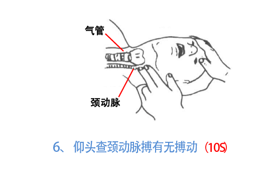 与时间赛跑，为生命接力！