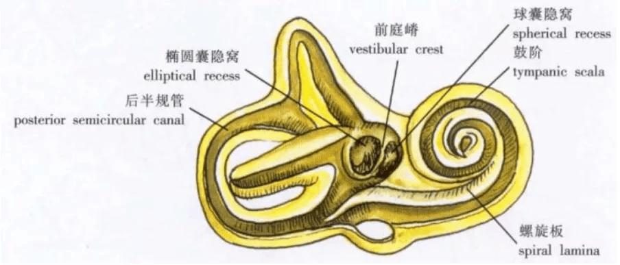 微信图片_20200622101453.png